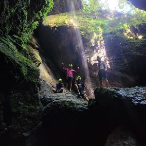 Organales (Cavernas). ¡Caminando!