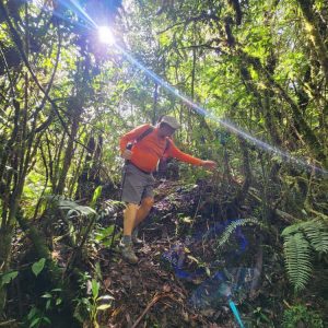 Senderismo San Agustín-Támesis